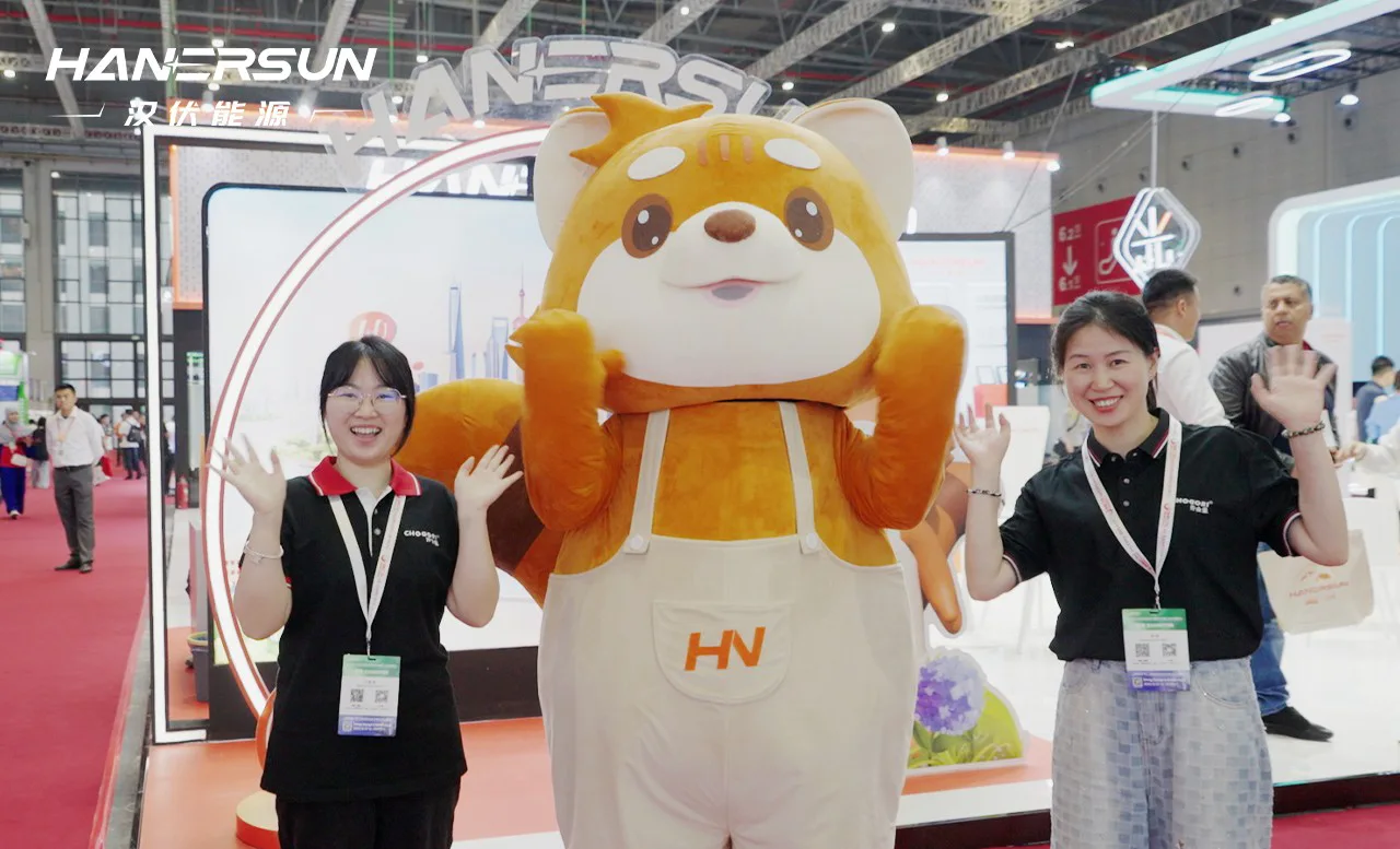 Glowing at SNEC 2025: Hanersun's 10th Anniversary Showcase Lights Up with Major Deals & Cutting-Edge Innovations